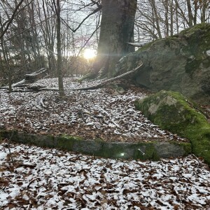 132. Dagsverkstorpare August Olsson Northfells dagbok