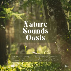 A Soothing Stream | Flowing River In An Enchanted Forest | Nature Sounds For Sleep, Meditation, Relaxation, Studying Or Focus | Sleep Music, Sleeping Sounds, Zen, Rain, Música Relajante Para Dormir