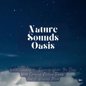 Sleeping Under The Stars With Calming Nature Sounds | Nature Sounds For Sleep, Meditation, Relaxation, Studying Or Focus | Sleep Music, Sleeping Sounds, Zen, Rain, Música Relajante Para Dormir