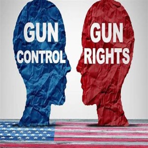 Gun Control E9P1