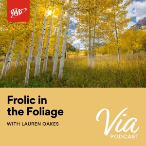 Frolic in the Foliage with Lauren Oakes