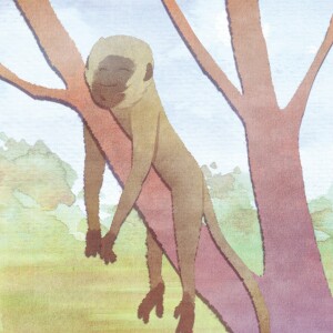 Monkey Business - Animal Stories for Kids