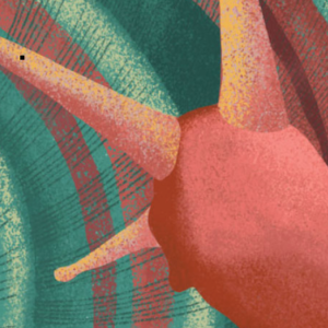 Animal Homes - Short Stories for Kids